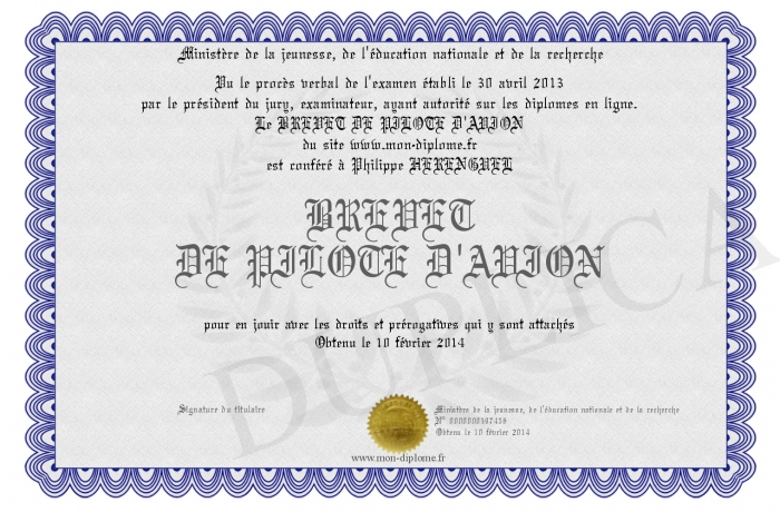 Radu Berceanu a construit un avion care cost 25.000 euro i poate